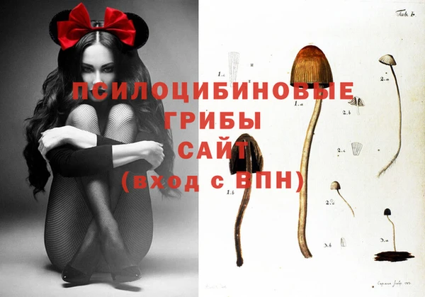 крисы Нязепетровск