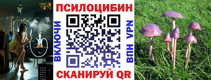 Купить где  Ильский  Галлюциногенные грибы ЛСД 